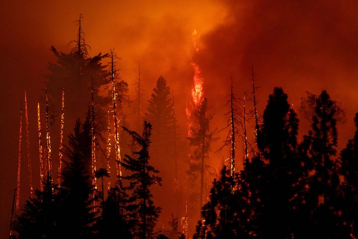 米カリフォルニア州ミッドパインズ付近の森林火災（アメリカ・ミッドパインズ）=2022年7月