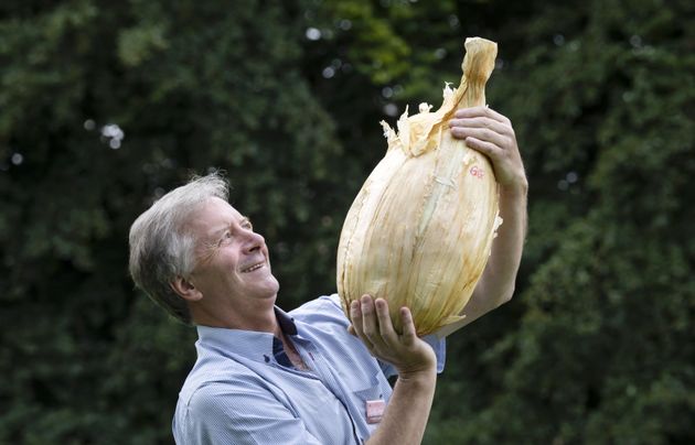 巨大野菜コンテストで、特大の玉ねぎを掲げる生産者のガレス・グリフィンさん
