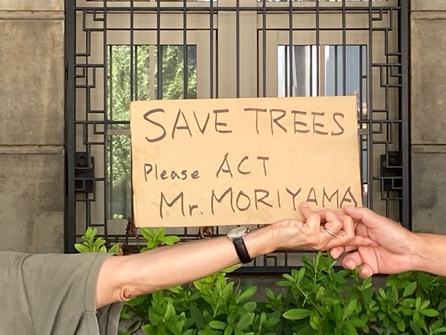 「木を守るために行動して」と盛山文部科学相に求めるメッセージ
