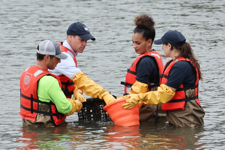 Checking out the oysters with members of the Billion Oyster Project. 