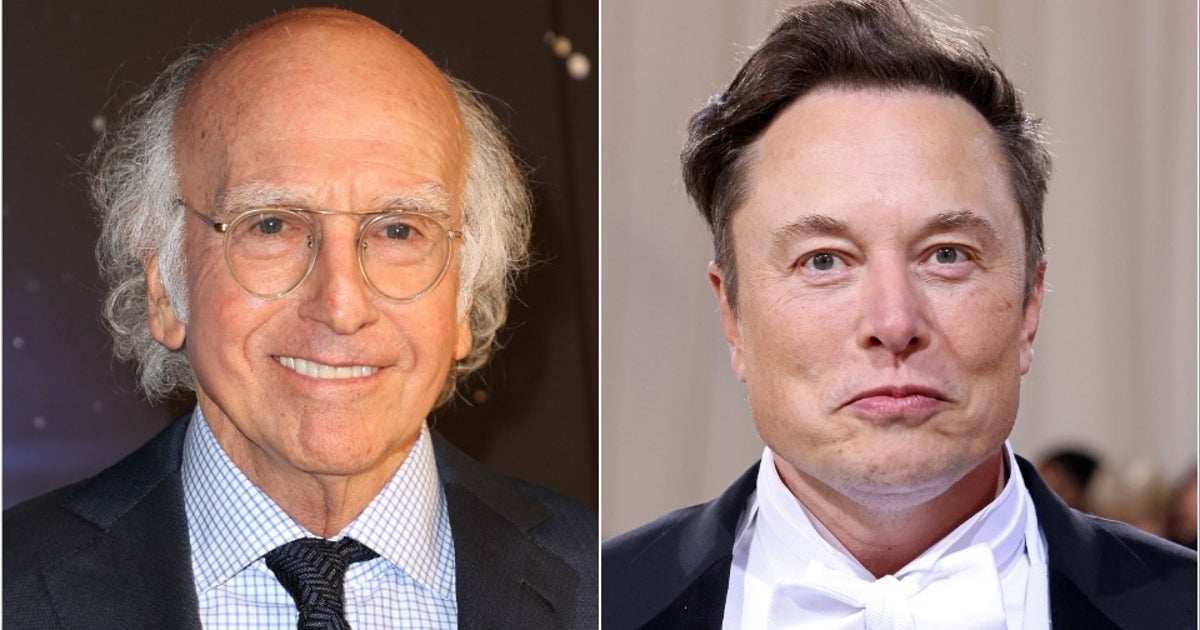 Larry David Confronted Elon Musk For Republican Vote Larry David Confronted Elon Musk For Republican Vote
