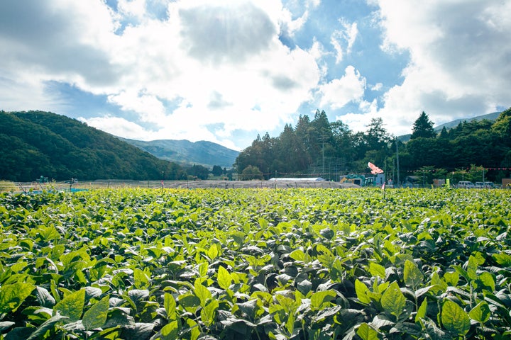 農地盛土等造成工事によって整備された農地