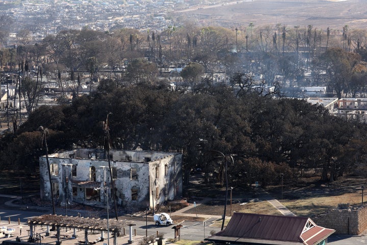 In an aerial view, the 150-year-old Banyan tree is seen scorched on Aug. 11 in Lahaina, Hawaii.