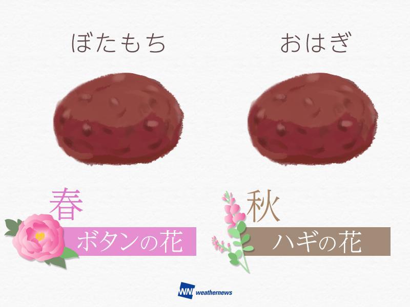 知ってる？「おはぎ」と「ぼた餅」の違い。東京、大阪…地域別でも呼び方に違いがあった。 | ハフポスト LIFE