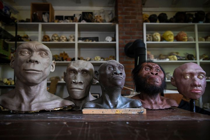 Προτομές Νεάντερταλ και ανθρωποειδών στο στούντιο του καλλιτέχνη Τζον Γκουρσέ στο Τρούμανσμπουργκ της Νέας Υόρκης (5/2023)