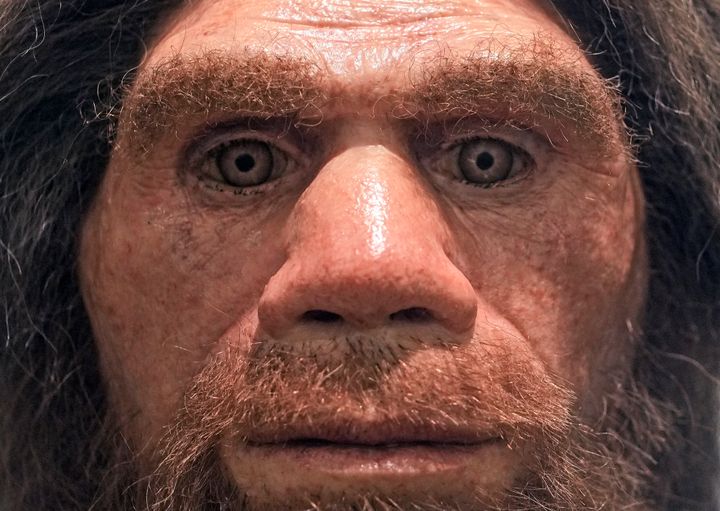 Ένα αντίγραφο ανθρώπου Νεάντερταλ (Homo sapiens neanderthalensis) στο μουσείο σπηλαίου στο Ίσερλον της Γερμανίας (3/2022).
