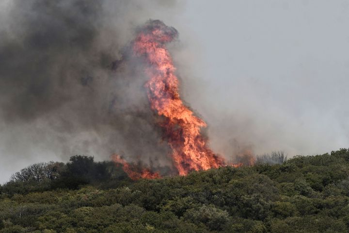 A forest fire spreading in Dikella near Alexandroupoli, northern Greece, in August.