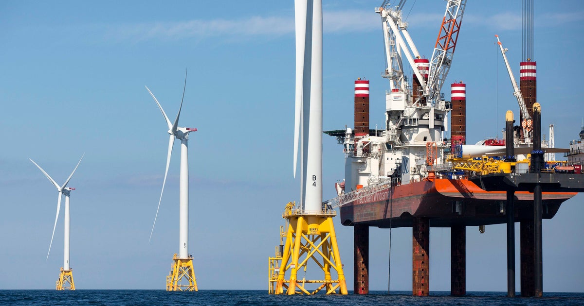 Trump Rants About ‘Batty' Whales And Offshore Wind