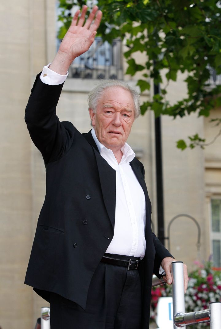 A multi-talented actor, Gambon was also the recipient of four coveted British Academy of Film and Television Arts awards for his television work.