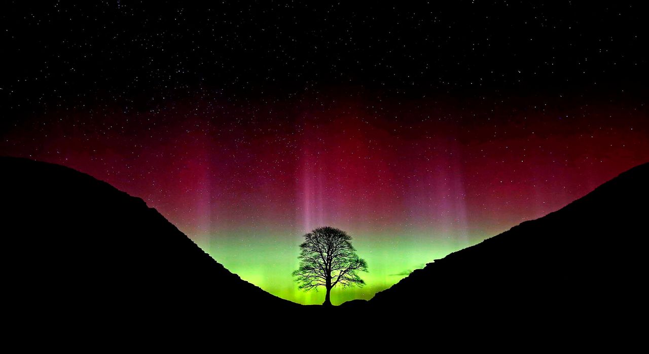 Undated picture of the tree at Sycamore Gap, at Hadrian's Wall near Crag Lough, Northumberland, taken showing the Northern Lights. 