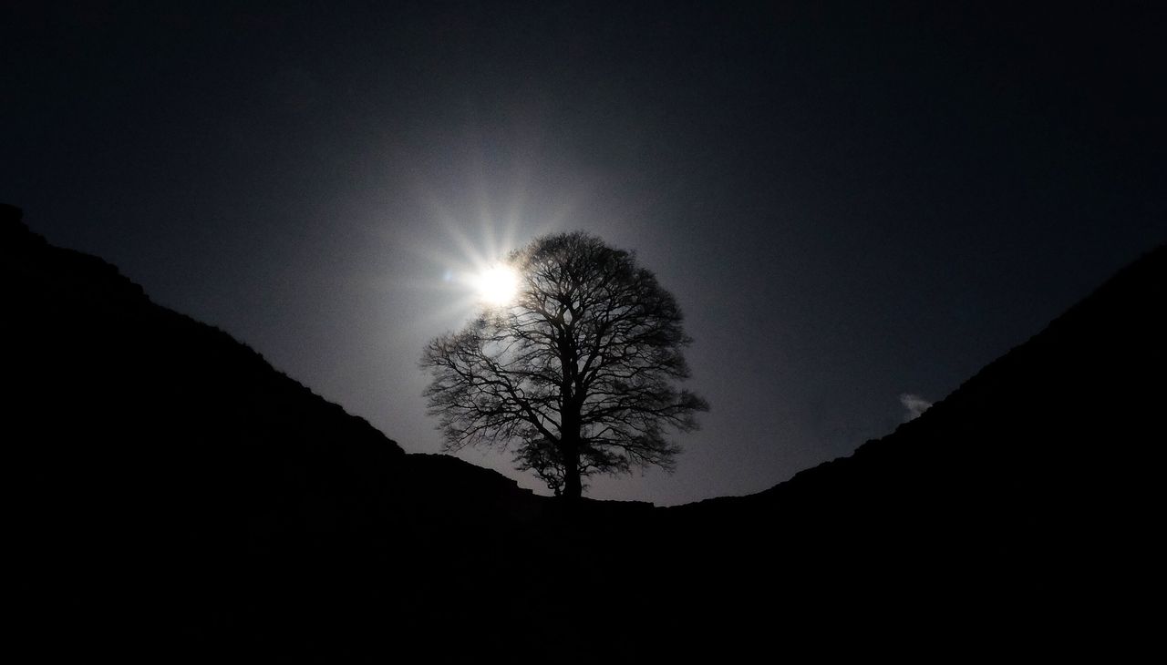 The sun shines through a tree at the Sycamore Gap on Hadrian's Wall in Northumberland. 