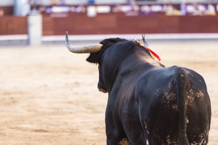 Bullfights are regarded as part of Spain’s cultural heritage.
