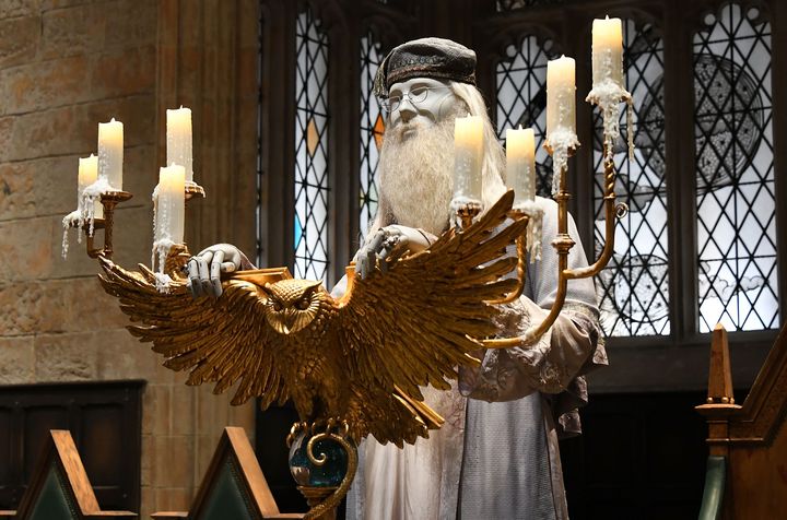 TOKYO, JAPAN - JUNE 14: A general view of Albus Dumbledore, as worn by Michael Gambon in "Harry Potter and the Goblet of Fire" display during a media preview of Warner Bros. Studio Tour Tokyo - The Making of Harry Potter on June 14, 2023 in Tokyo, Japan. The new Harry Potter attraction opens on 16 June, 2023. (Photo by Jun Sato/WireImage)