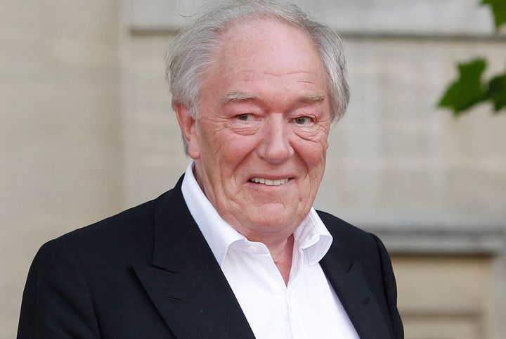 Actor Michael Gambon, who played Albus Dumbledore in six of the eight "Harry Potter" movies, died after a bout with pneumonia this week. He was 82.