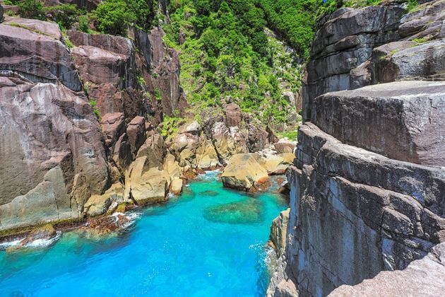 三重県の「オハイ」