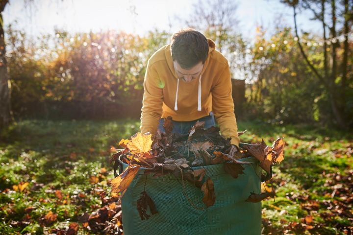 Man putting autumn leaves in a big bag