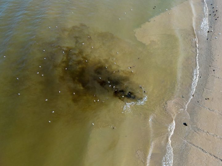 An aerial view of discoloured liquid being discharged into the River Thames near Thames Water's Longreach Sewage Treatment Works on August 10, 2023 in Dartford, United Kingdom