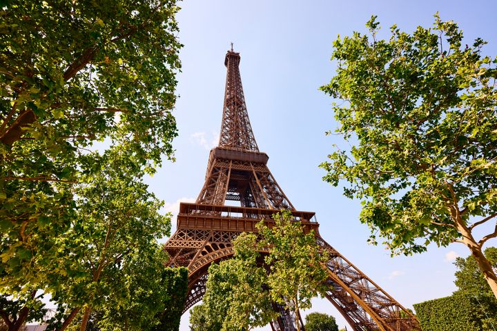 France, Paris, Eiffel Tower through trees in summer sun