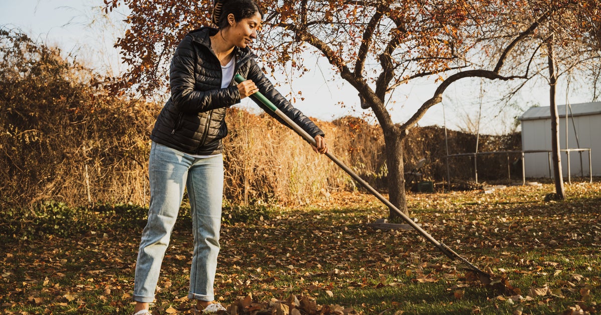 UK Gardeners Urged To Do These Jobs In October - Vimarsana News