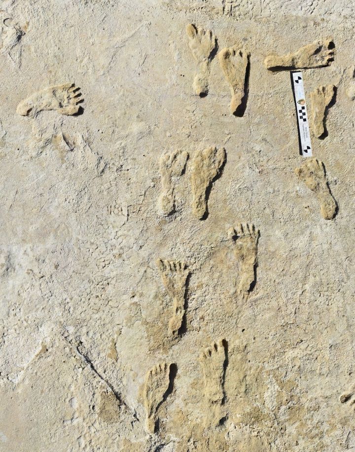 ホワイトサンズ国立公園で見つかった人間の足跡の化石
