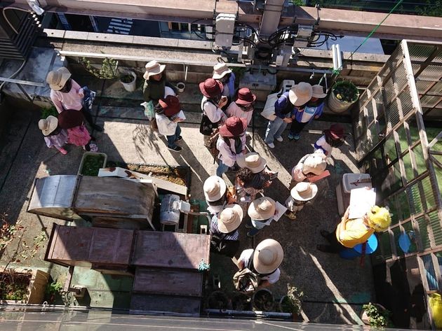 銀座のビル屋上にある養蜂場見学の様子