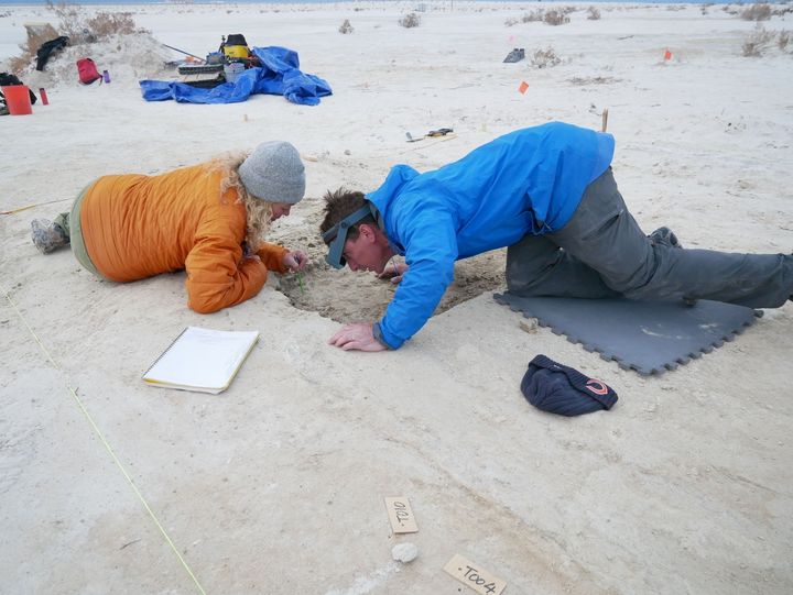 ホワイトサンズ国立公園で調査をする、アメリカ地質調査所の科学者キャスリーン・スプリンガー氏とジェフ・ピガティ氏