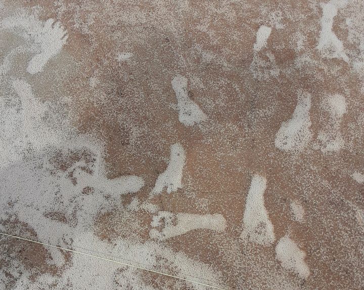 This Oct. 2023 photo made available by the National Park Service shows human footprints infilled with white gypsum sand at the White Sands National Park in New Mexico. (NPS via AP)