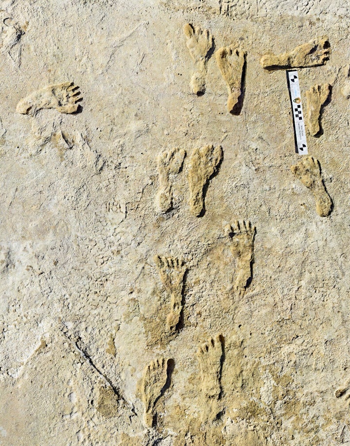 Esta foto sem data mostra pegadas humanas fossilizadas no Parque Nacional White Sands, no Novo México.  (NPS via AP)