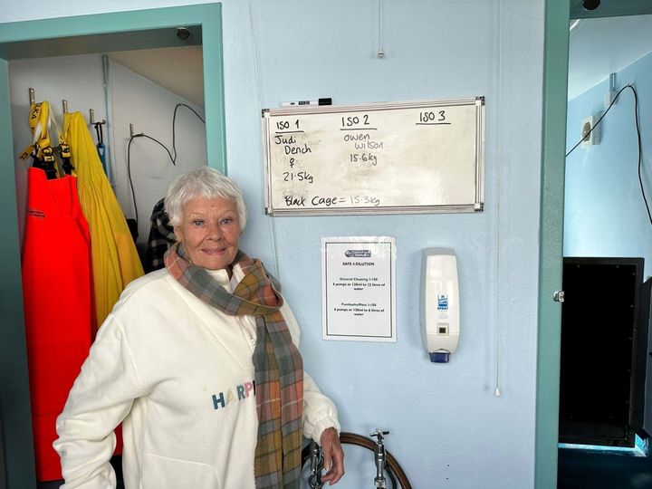Judi Dench, the human, on her visit to the seal sanctuary.