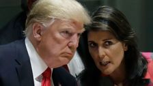 Authoritarianism Expert Says Nikki Haley's Trump Comment Means 1 Chilling Thing