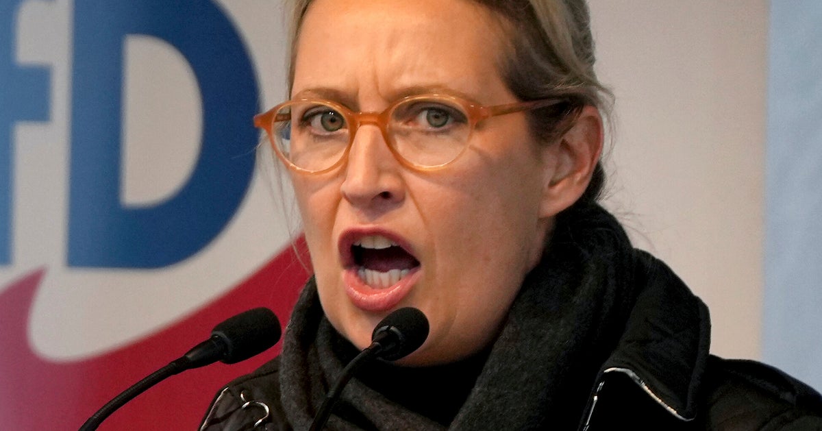 German Far-Right Leader Says State Election Gains Show Party Has ‘Arrived’ German Far-Right Leader Says State Election Gains Show Party Has ‘Arrived’