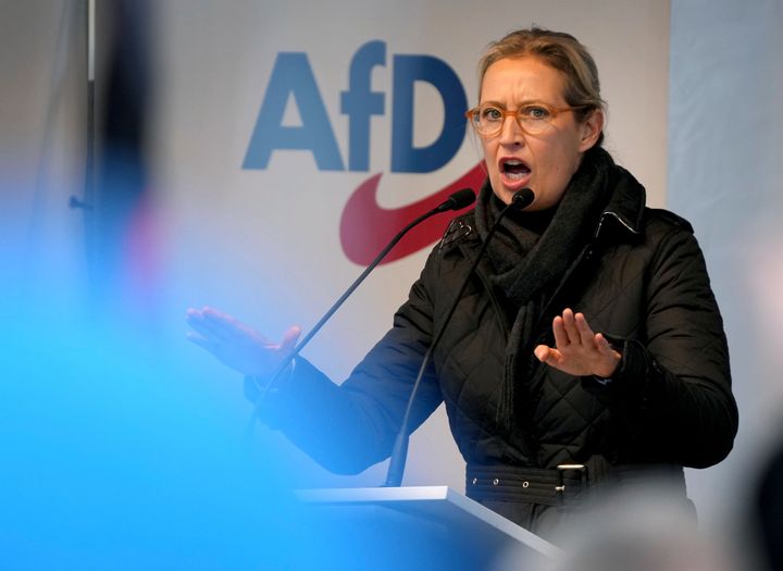 Alice Weidel, a co-leader of the Alternative for Germany party (AfD).
