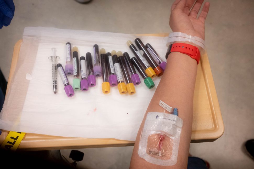 April 11, 2023: I have had weekly blood draws since leaving the hospital, and sometimes more than once a week. My team monitors my tacro levels, kidney functions and white blood cells -- all terms and metrics I have become aware of as they delicately balance them to keep me alive.