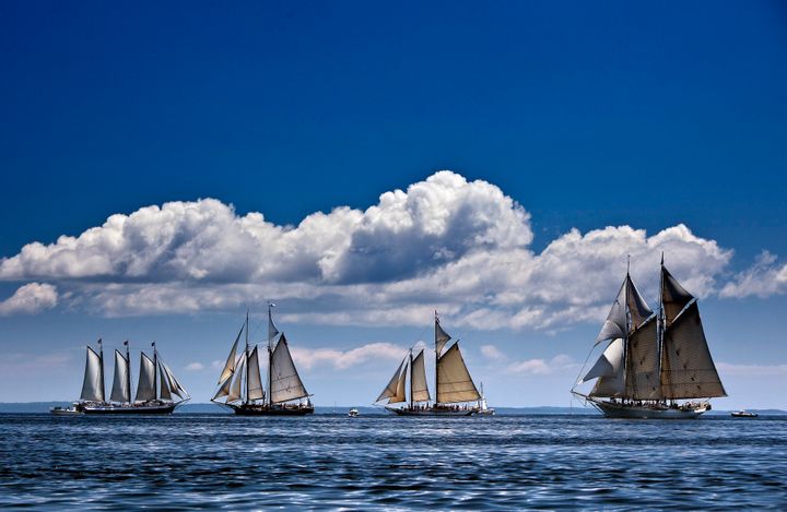 The schooner Grace Bailey, third from left, pictured in 2012.