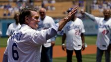 Former Baseball MVP Steve Garvey Joins California Senate Race