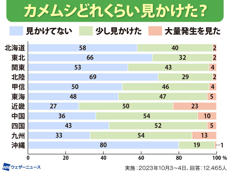 人気 服についた木の渋