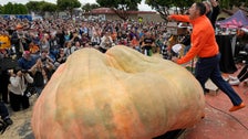 Absolute Monster Of A Pumpkin Sets New World Record