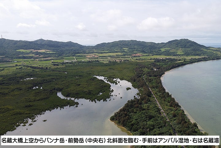 ラムサール条約の登録湿地「名蔵アンパル」