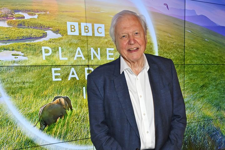 Sir David Attenborough attends the Global Launch of BBC Studios' "Planet Earth III" at Frameless on October 12, 2023 in London, England. 