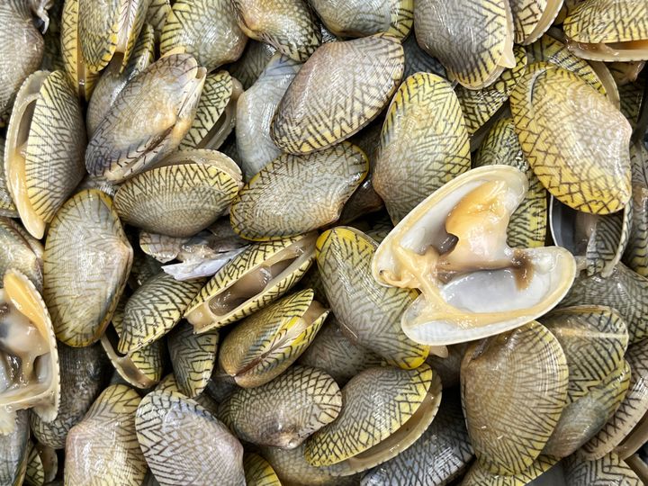 Live clams that are open should immediately close when you tap them.