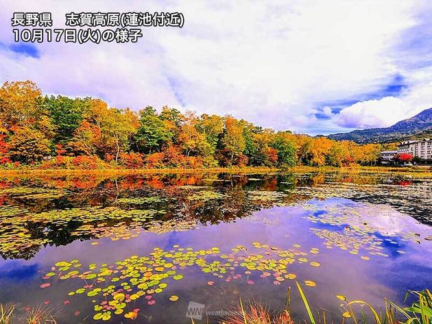 長野県 志賀高原(蓮池付近) 紅葉の様子