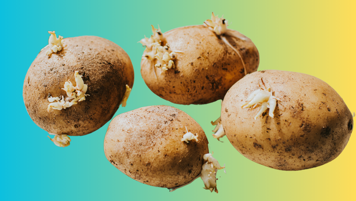 Is It Safe To Eat A Potato That's Turning Green Or Sprouting Eyes?