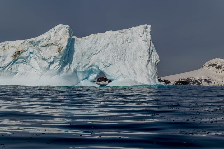 Icebergs floating in Cierva Cove, a cove along the west coast of Graham Land, Antarctic Peninsula, Antarctica.
