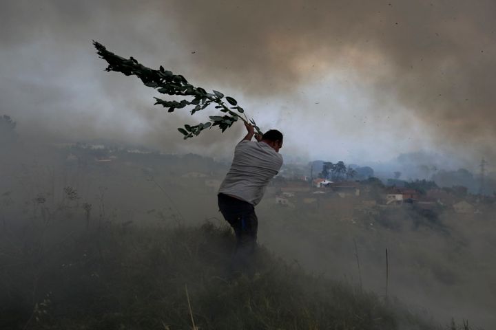 A volunteer uses a tree branch trying to prevent a forest fire from reaching houses in the village of Casal da Quinta, outside Leiria, central Portugal, last year.