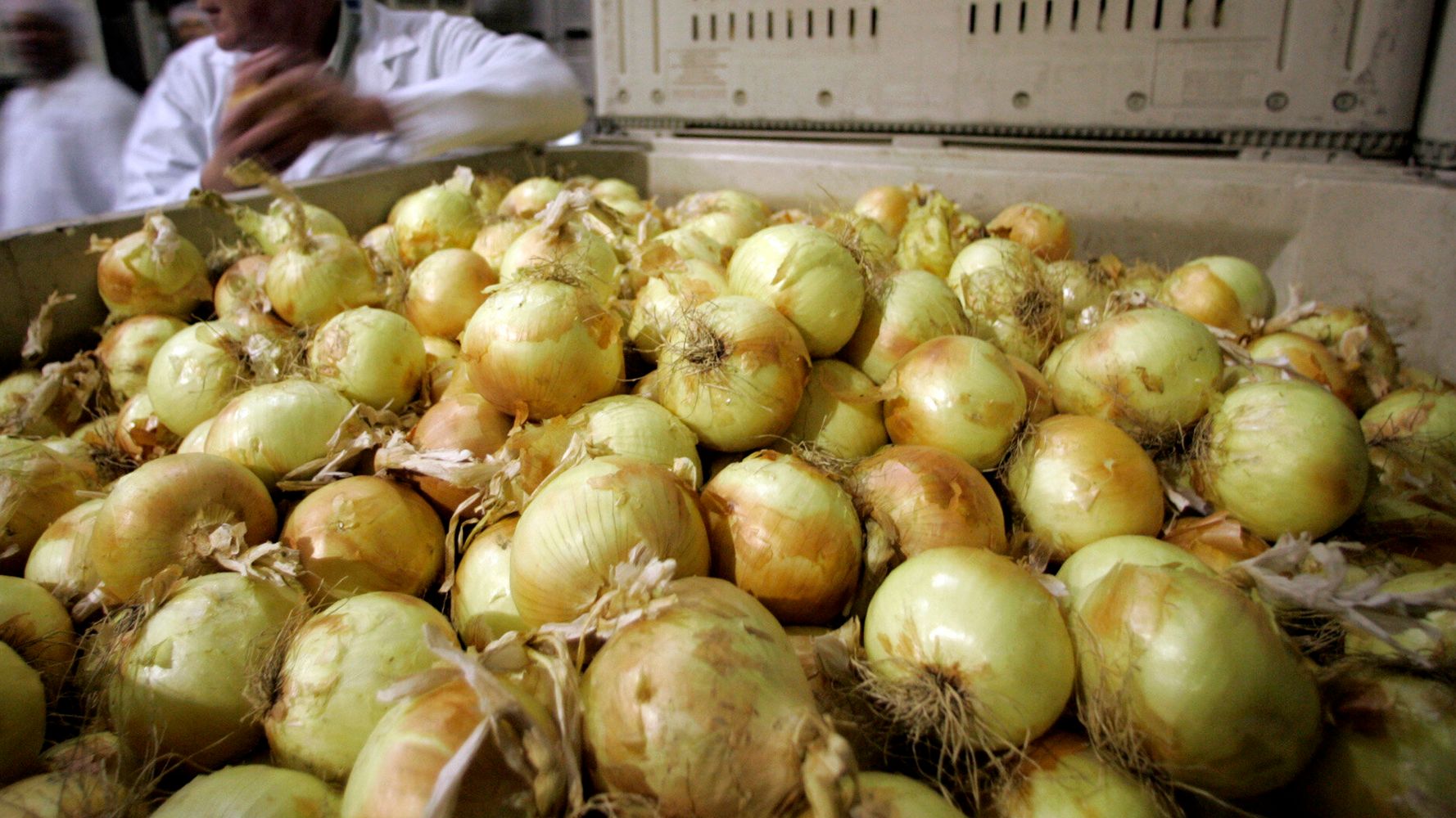 Precut Onions Caused Salmonella Outbreak, CDC Says