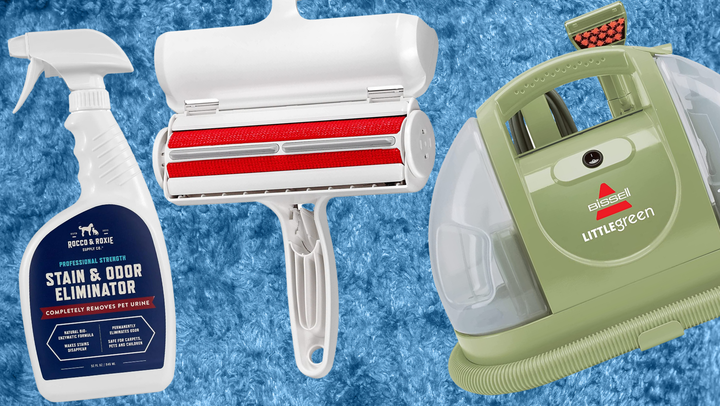 Rocco & Roxie's stain remover, a ChomChom pet hair roller and Bissell's Little Green carpet and upholstery cleaner