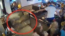Oh Deer! Video Shows Critter Crashing Diners' Meals At Wisconsin Restaurant 2 6539e6f5230000820028892a