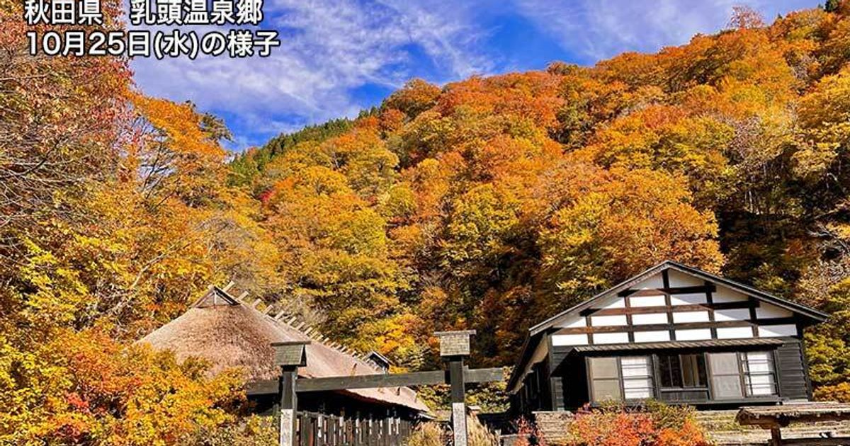 今見頃の「紅葉スポット」を一覧で紹介。東京や関東、関西は？日光などの秋を、写真で紹介します | ハフポスト NEWS