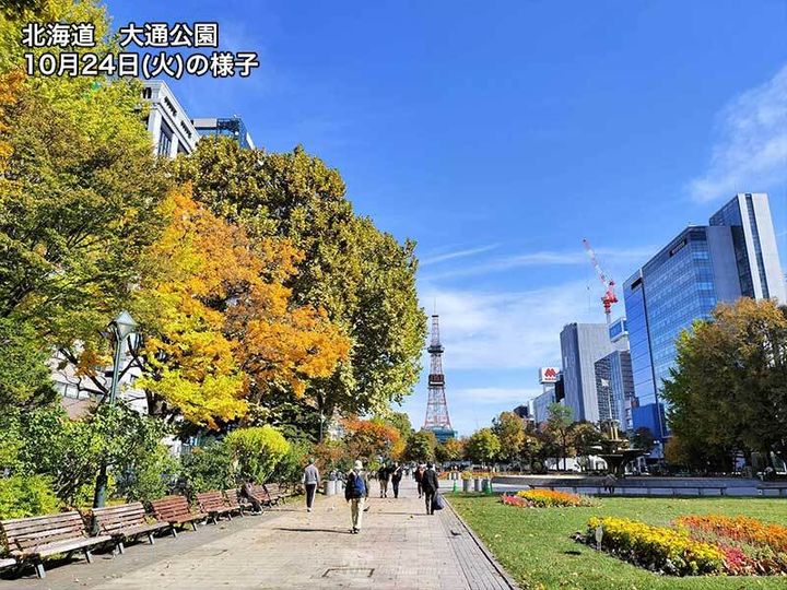 北海道 大通公園 紅葉の様子