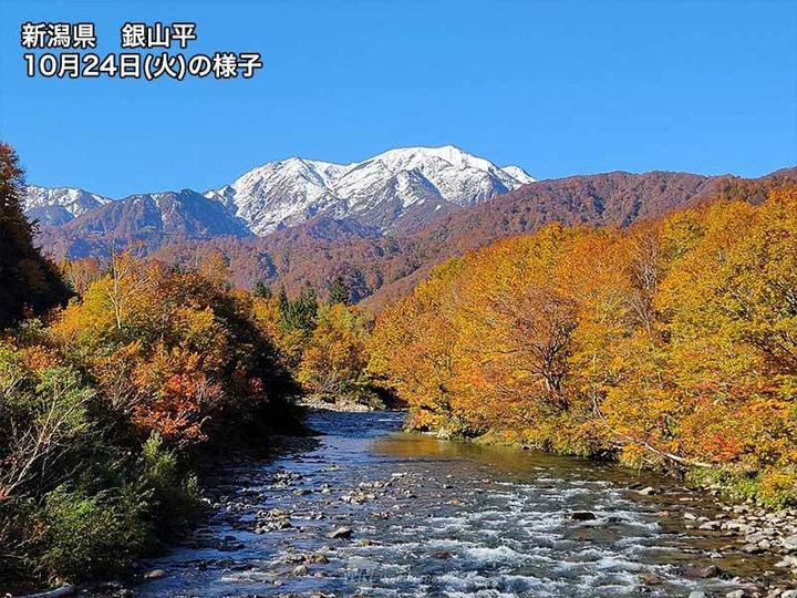 新潟県 銀山平 紅葉の様子